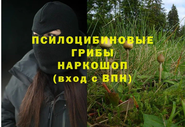 марихуана Белокуриха