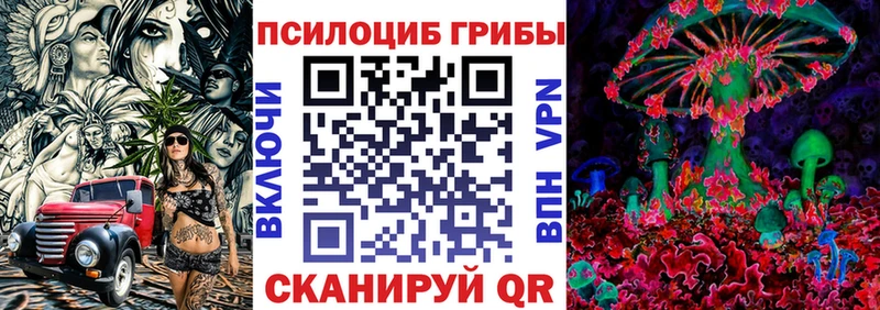 Галлюциногенные грибы Psilocybe  Купино 